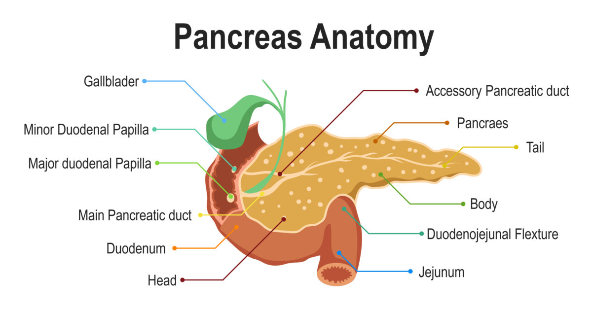 BILE DUCT INJURIES FOLLOWING GALLBLADDER SURGERY - PKLI&RC